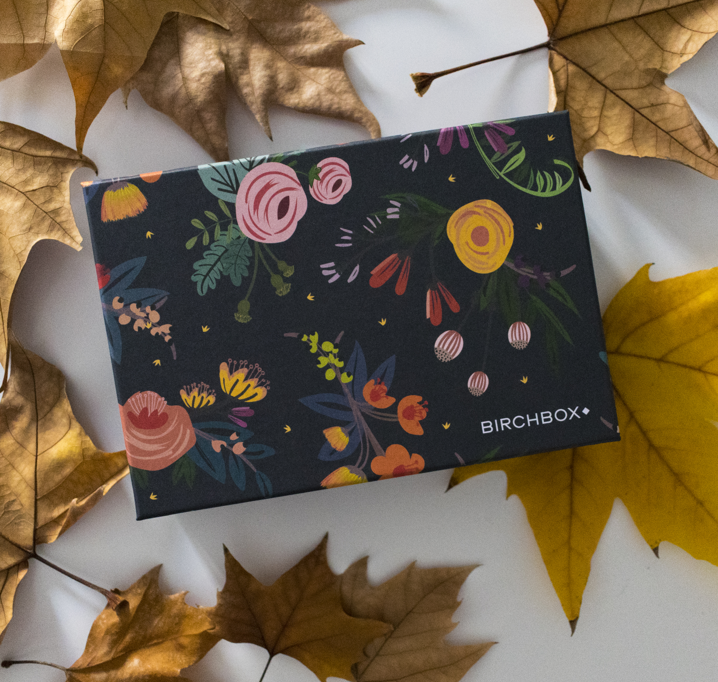 Birchbox-Noviembre-4